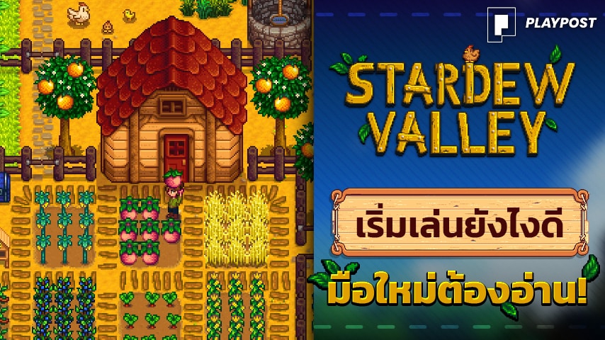 stardew valley how to play cover playpost