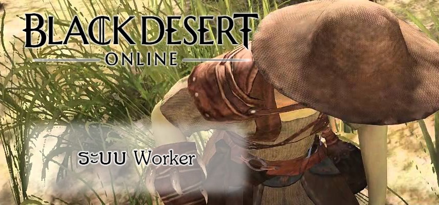 black desert online worker cover myplaypost