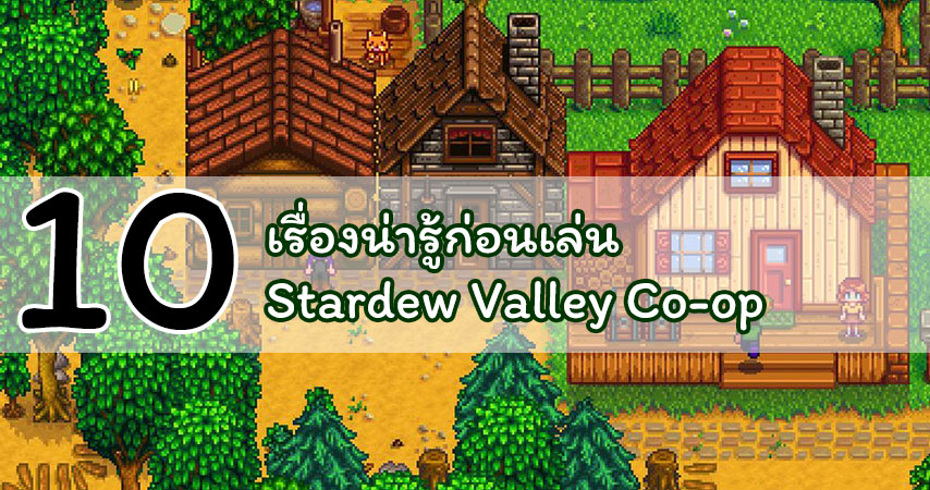 stardew valley co-op 10 know to cover myplaypost