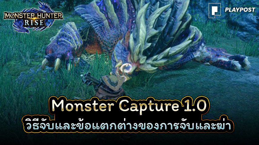 Monster Hunter Rise Capture cover playpost