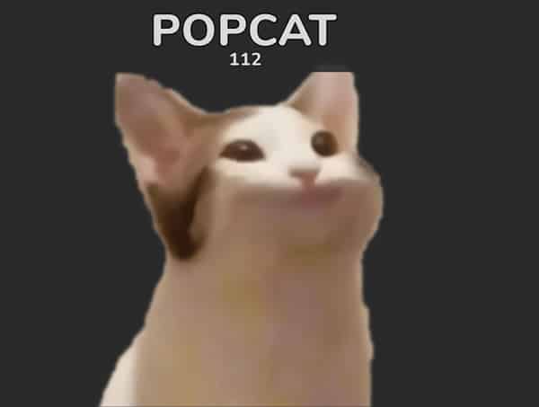 Popcat คือ